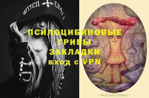 спиды Абаза