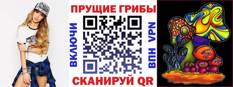 Псилоцибиновые грибы Psilocybe  магазин продажи наркотиков  Братск 